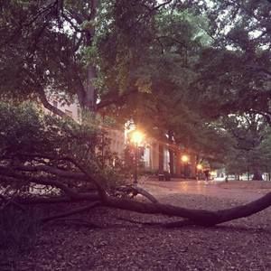 Meet your Posher, Sarah sylvia